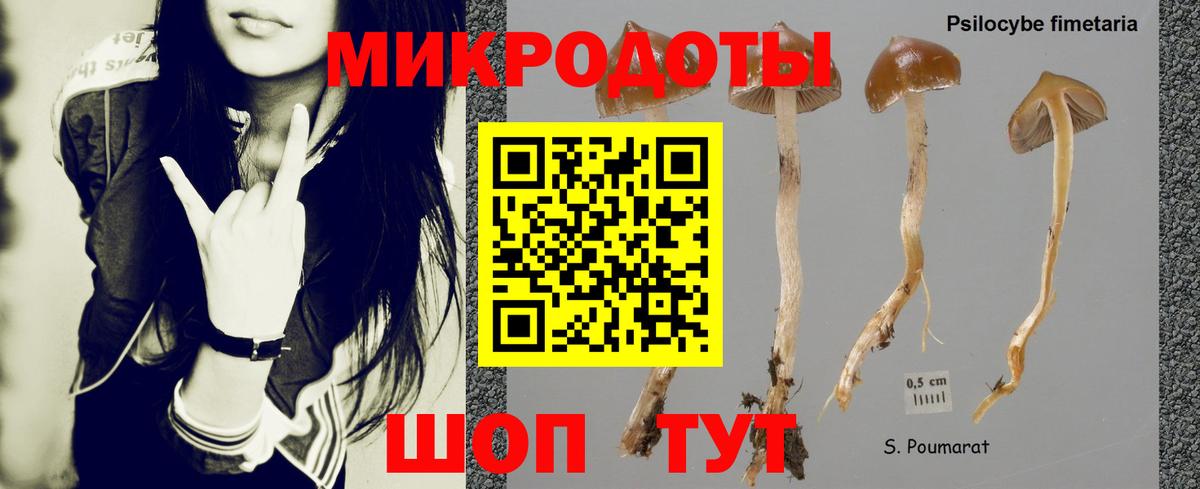 Арзамас  Псилоцибиновые грибы Psilocybe  Галлюциногенные грибы Psilocybe  Вход с VPN 